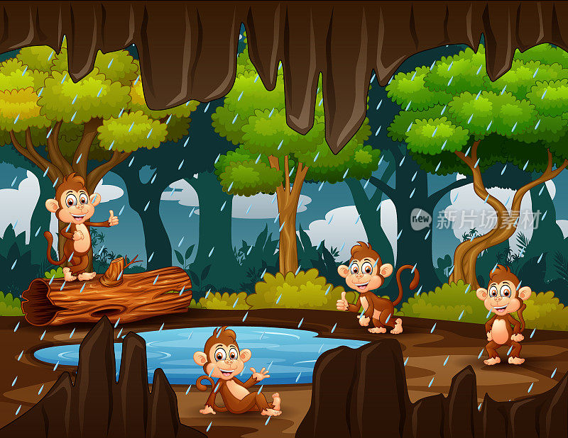 快乐的猴子在雨中玩耍的卡通插图