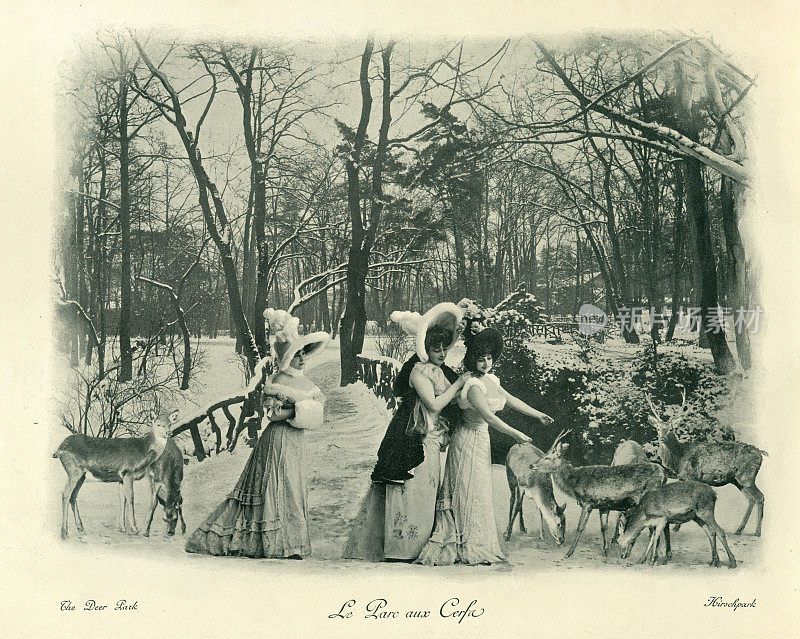 维多利亚时代的蒙太奇照片，19世纪的冬天，年轻女子在公园里喂鹿