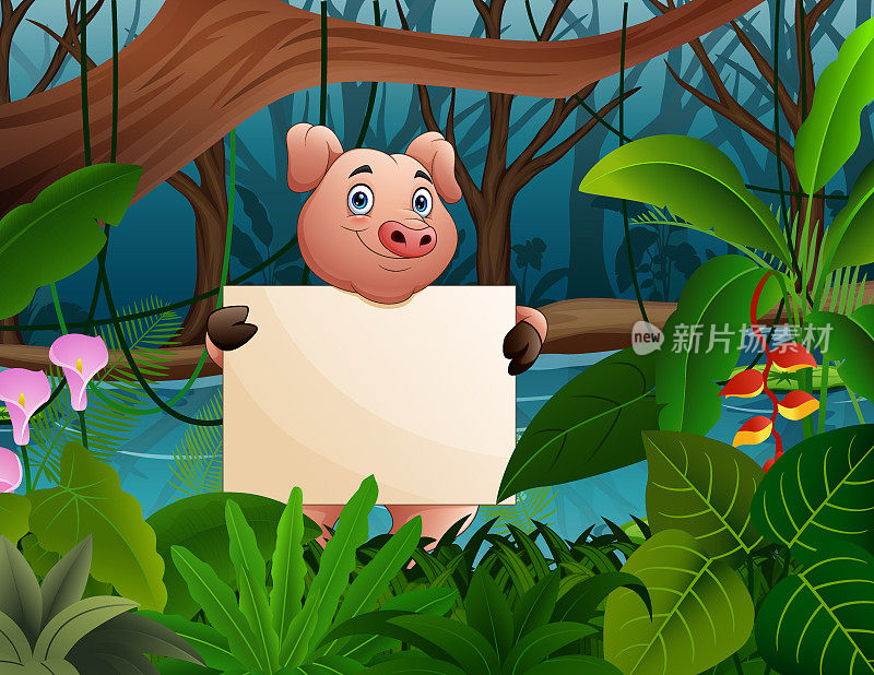 可爱的卡通小猪在森林背景下举着空白的牌子