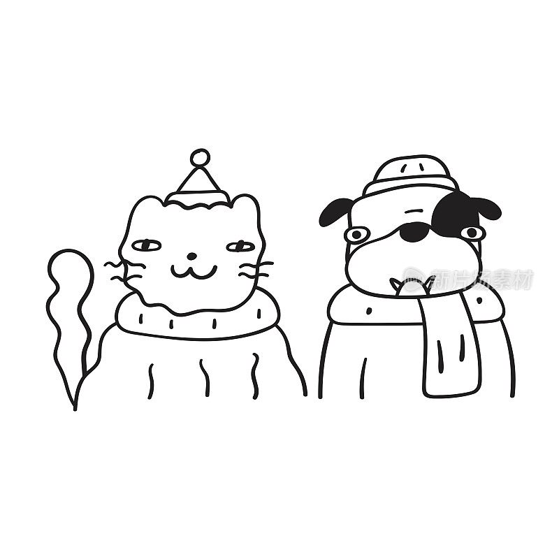 猫和狗戴着冬天的帽子和围巾。
