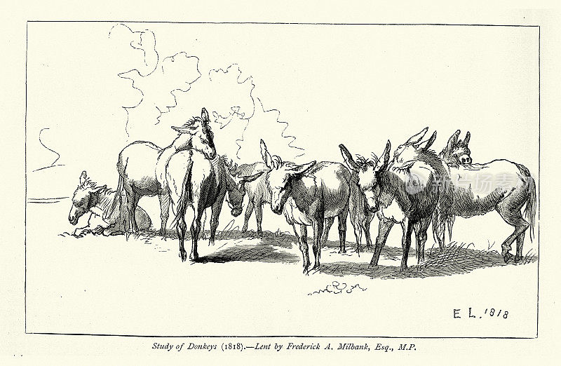 《驴的研究》，1818年，根据埃德温・兰西尔的素描，1827年，维多利亚艺术，19世纪
