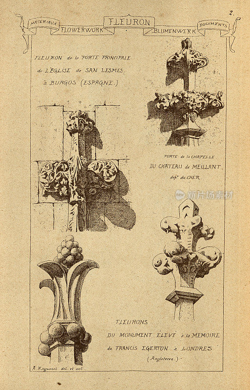 复古插图建筑百合花，建筑史，装饰和设计，艺术，法国，维多利亚，19世纪