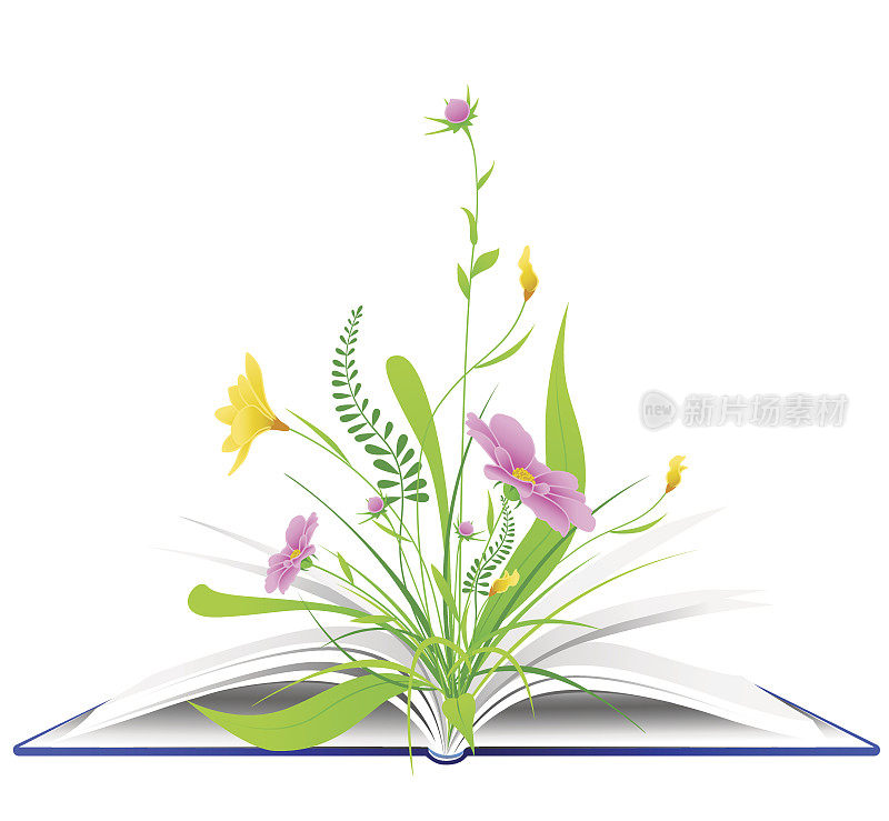 打开有花和绿草的书