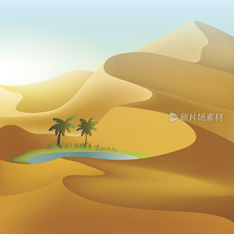 沙漠中的绿洲沙丘