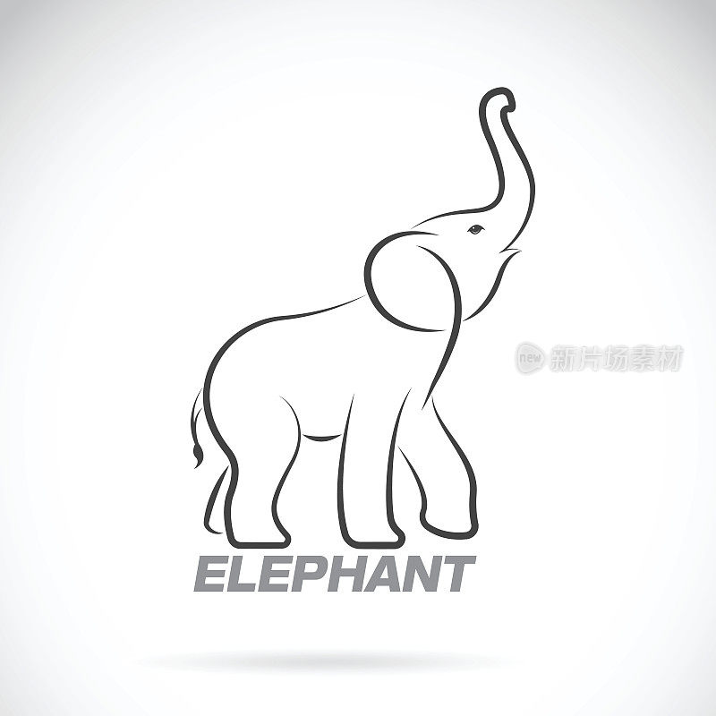 白色背景上的大象设计矢量。