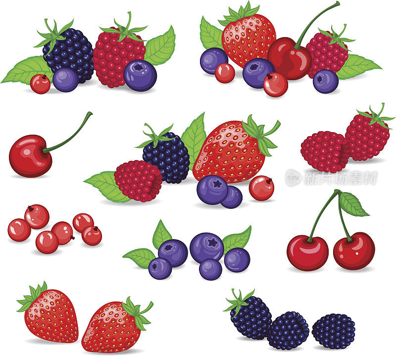 浆果设置矢量插图。草莓，黑莓，蓝莓，樱桃，覆盆子，红醋栗。浆果和他们的组合