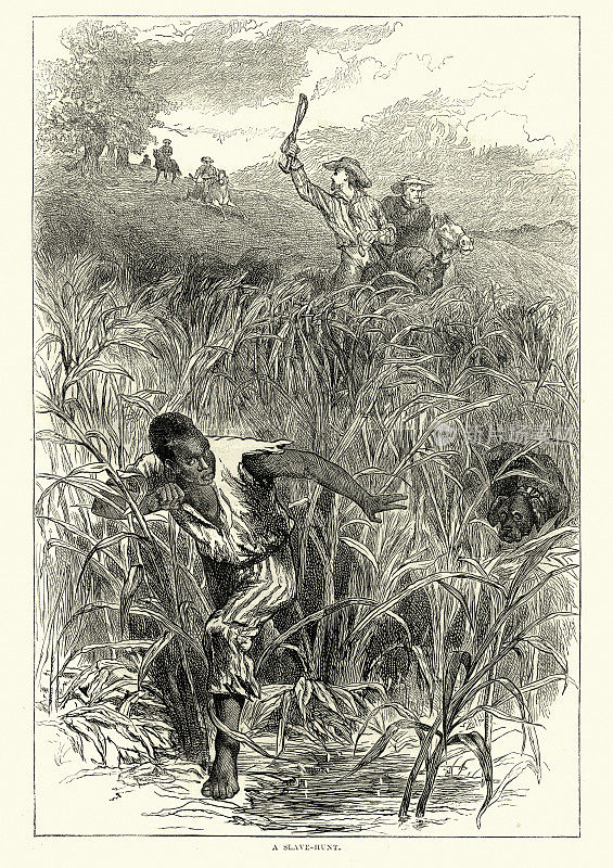 追捕逃跑的奴隶，美国南部，19世纪