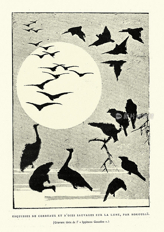 大雁在月亮前飞翔，日本的艺术