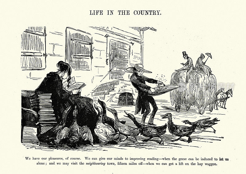 维多利亚时代的乡村生活漫画，阅读，鹅，骑干草车