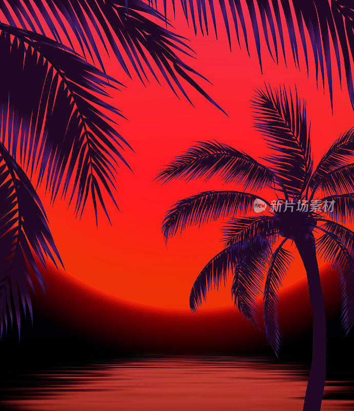 日落与棕榈树，太阳和棕榈叶