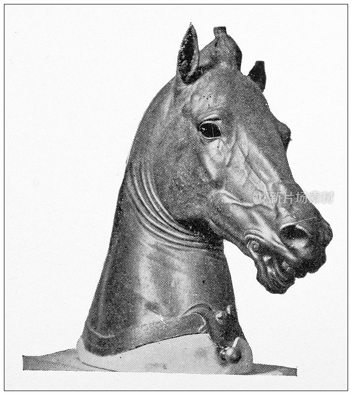佛罗伦萨和托斯卡纳的古董旅行照片:马雕塑