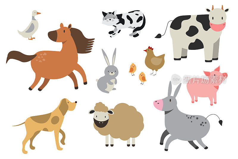 农场动物在白色背景孤立的平面风格。矢量插图。可爱卡通动物收藏羊、山羊、牛、驴、马、猪、猫、狗、鸭、鹅、鸡，EPS