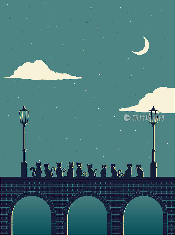 10只猫晚上在石桥上
