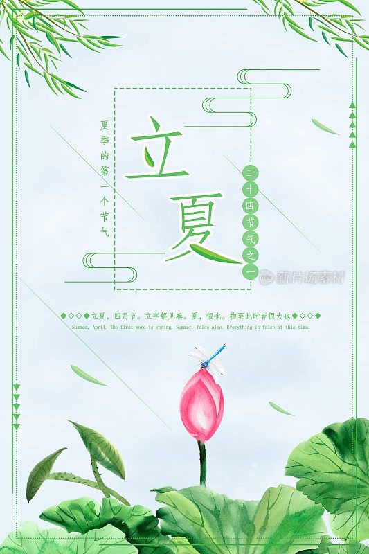 小清新荷花立夏促销海报