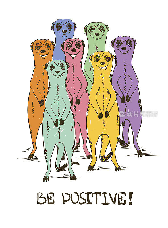 素描插图与有趣的彩色猫鼬。