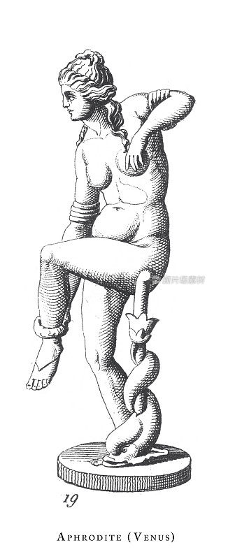 阿佛洛狄特(维纳斯)，阿佛洛狄特和其他诸神雕刻古董插图，1851年出版