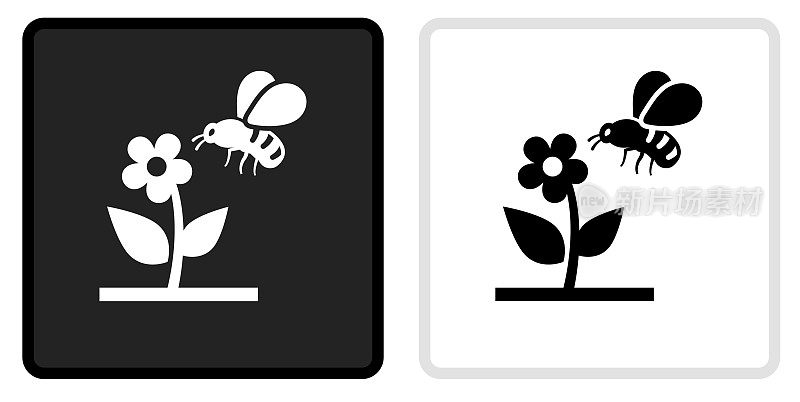 蜜蜂在花图标上的黑色按钮与白色滚动