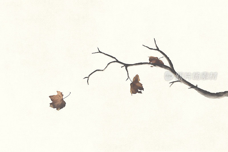 秋天落叶插图，抽象概念