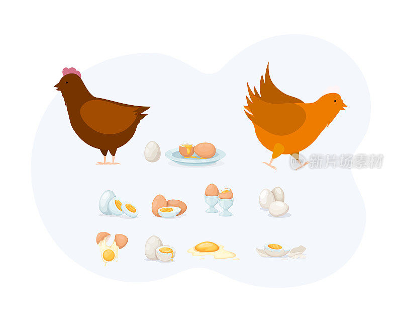 天然家禽蛋白食品元素集。公鸡、鸡、熟鸡蛋和生鸡蛋