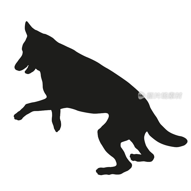 跳跃的德国牧羊犬小狗。黑狗轮廓。宠物的动物。孤立在白色背景上。