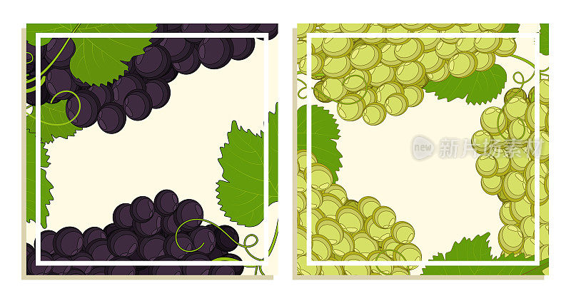 喜庆的方形卡片，上面有一串葡萄，叶子和卷须。为餐厅和咖啡馆设计菜单的方形模板。卡通矢量隔离在白色背景上