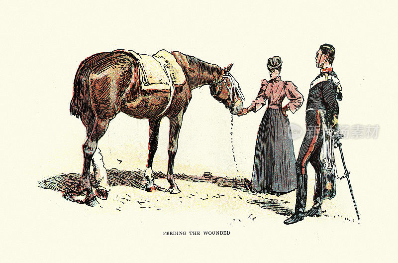 喂伤员，喂马的女人，19世纪90年代维多利亚时期的英国军队