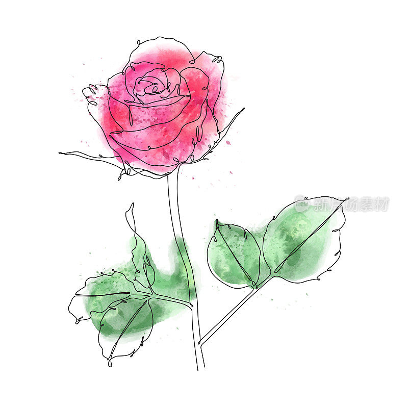 玫瑰连续线条绘制与可编辑的笔触和颜色在抽象水彩洗
