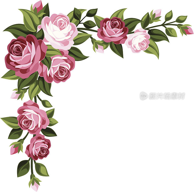 粉色的复古玫瑰，玫瑰花蕾和叶子。矢量插图。
