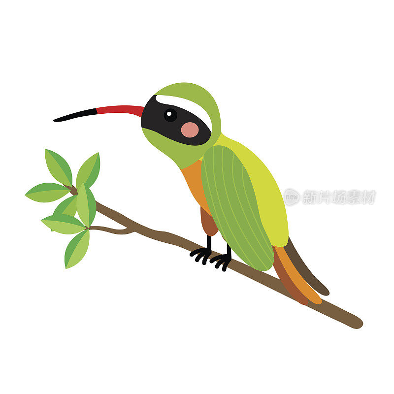 黄斑蜂鸟栖息树枝动物卡通人物矢量插图。