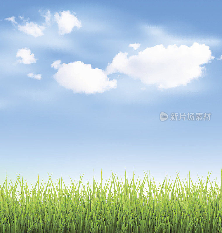 小草草坪，蓝天白云