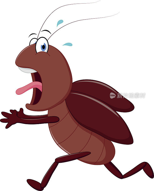 恐怖蟑螂跑卡通