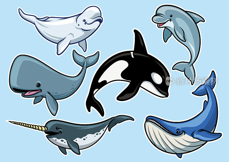 一组欢快的各种鲸鱼