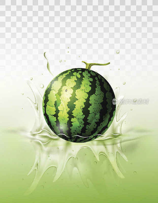 西瓜水果滴在果汁上溅起波纹，透明，矢量插图
