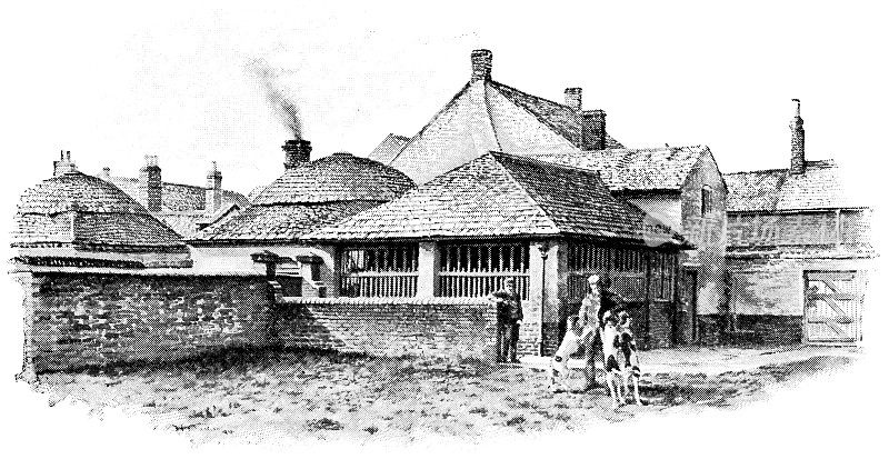 19世纪，英国莱斯特郡，夸恩庄园的夸恩猎狗场