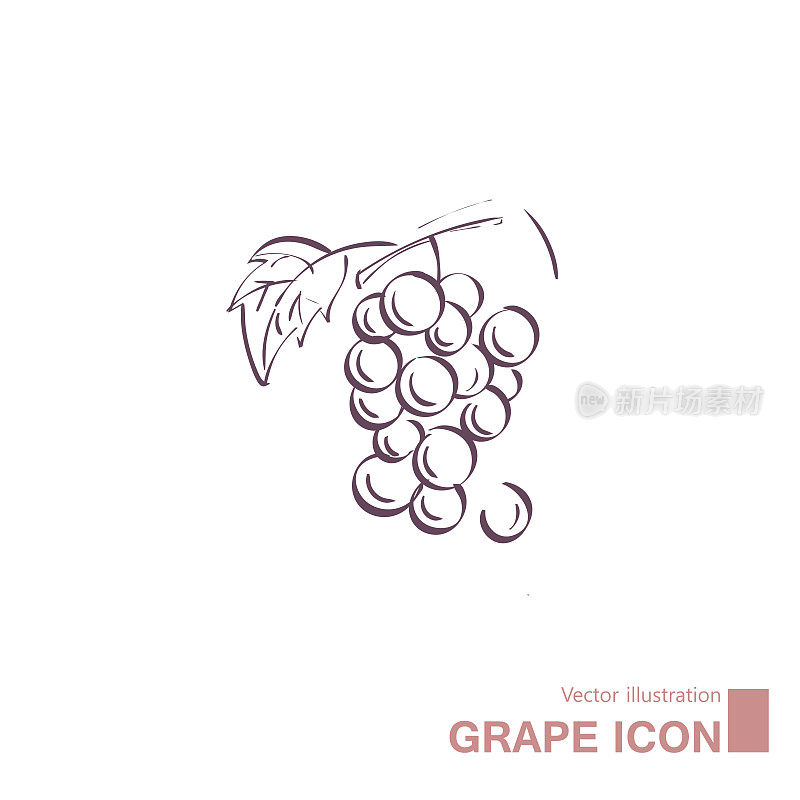 矢量绘制葡萄。