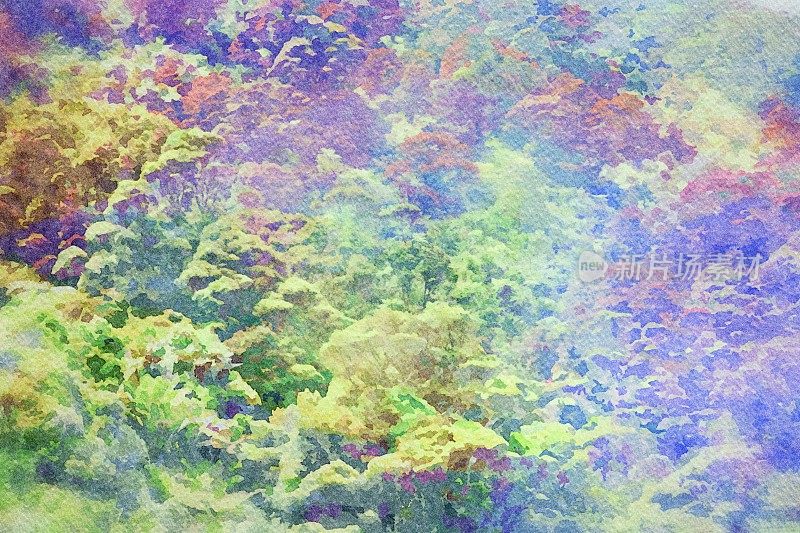 亚热带雨林水彩画