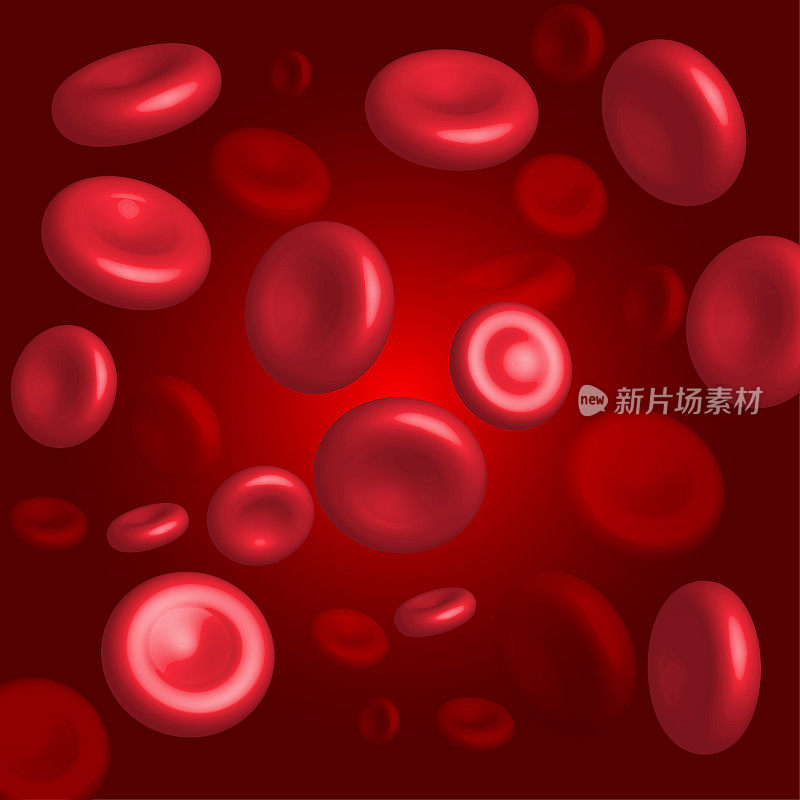 血液循环系统中的红细胞。血液细胞在静脉中流动