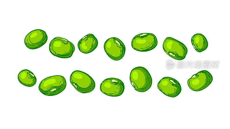 一堆绿豆。向量集。绿色maash形状