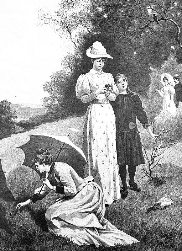 女人在草地上采摘紫罗兰