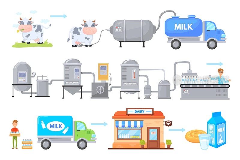 牛奶制造。奶牛厂生产过程中，生产连锁奶牛奶牛场到消费食品工业技术阶段的奶酪产品