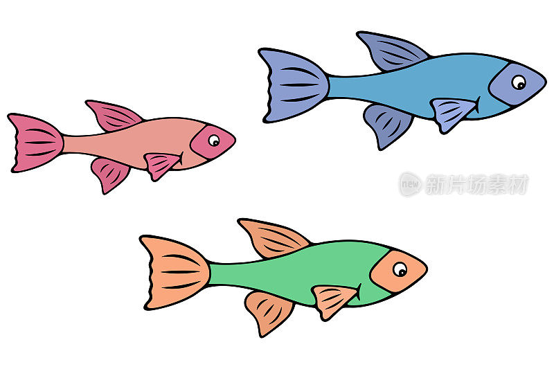 淡水鱼类。孔雀鱼。水族馆里的宠物。一套彩色矢量插图。卡通风格。