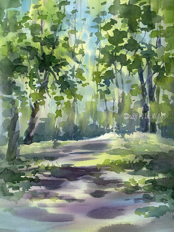 森林小路阳光阴影水彩背景。夏天的插图