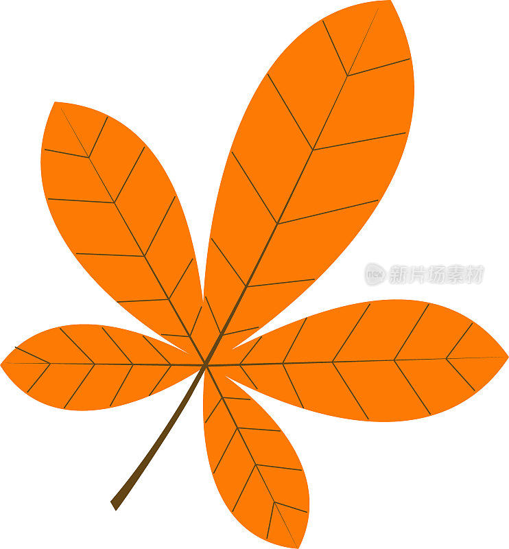 栗子叶的矢量插图。橙色树叶的秋季插图。一个logo的创意，时尚插画，杂志，衣服上的印刷，广告。