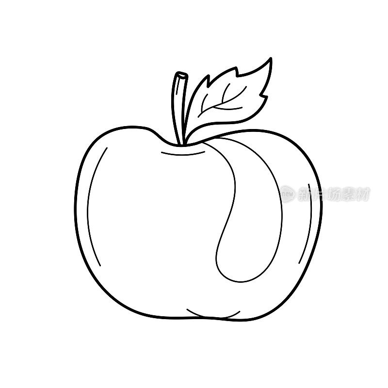 矢量轮廓苹果果实。手绘插图。白色上的苹果