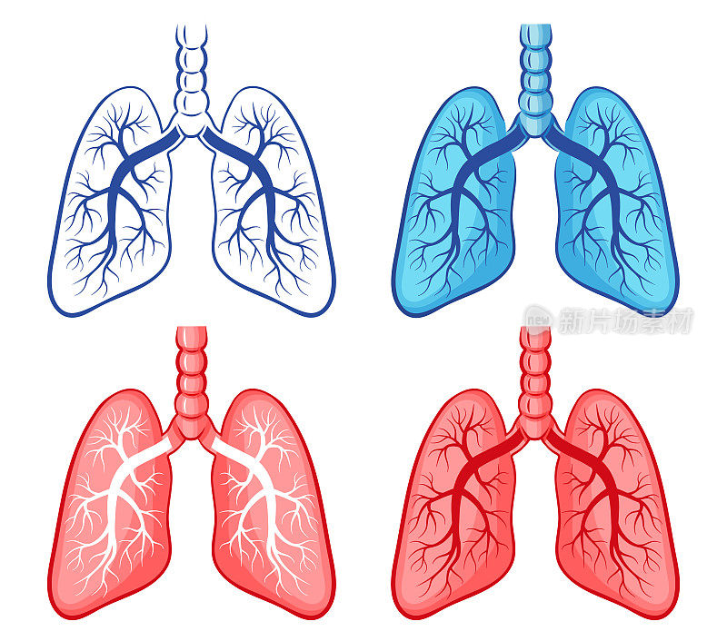 人体肺和支气管呼吸器官解剖，呼吸系统健康图标集。肺炎病毒感染、咳嗽、哮喘、支气管炎的医疗。空气吸入，呼吸道。向量