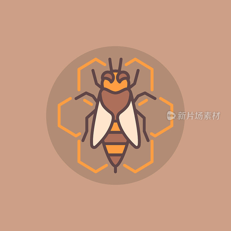 蜜蜂和蜂巢平面图标