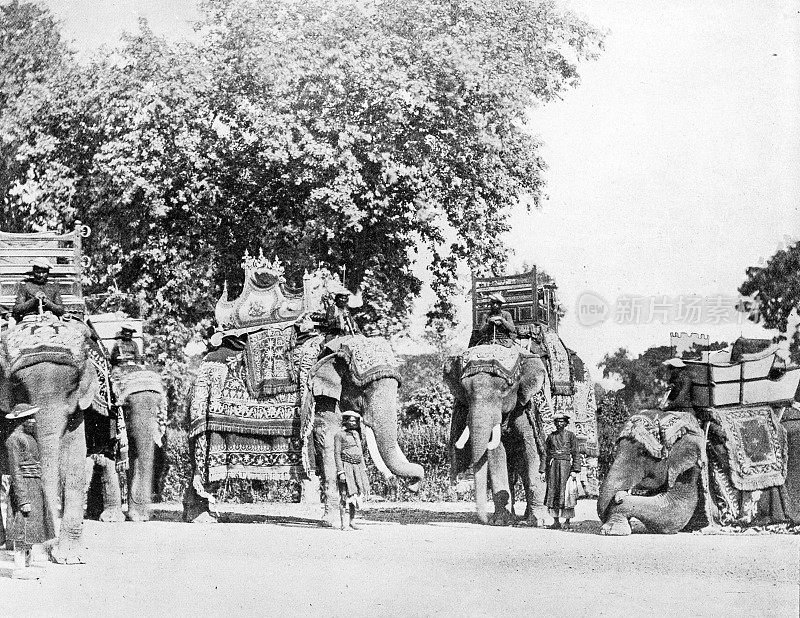 1895年印度的人物和地标:总督的大象