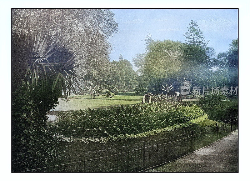 古董伦敦的照片:亚热带花园，巴特西公园