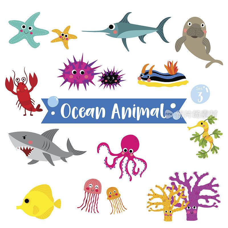 海洋动物卡通在白色的背景。矢量插图。集3
