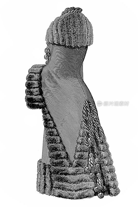 维多利亚时代的时尚女性，黑色长毛绒夹克